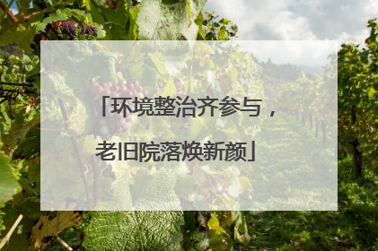 环境整治齐参与，老旧院落焕新颜