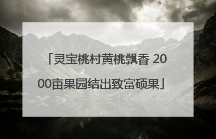 灵宝桃村黄桃飘香 2000亩果园结出致富硕果