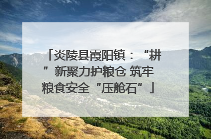 炎陵县霞阳镇：“耕”新聚力护粮仓 筑牢粮食安全“压舱石”