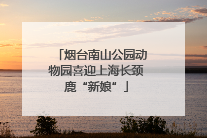 烟台南山公园动物园喜迎上海长颈鹿“新娘”