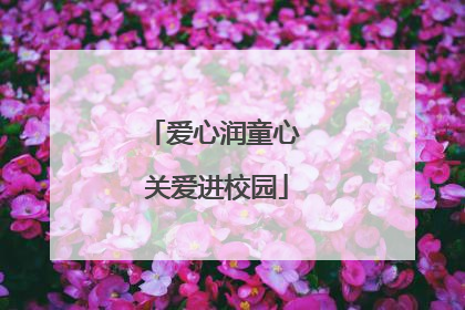 爱心润童心 关爱进校园