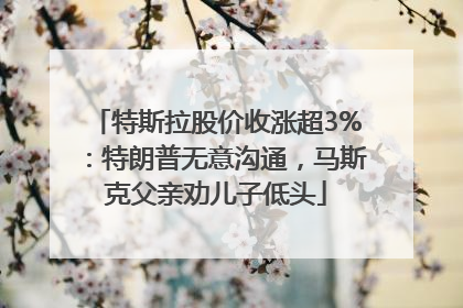 特斯拉股价收涨超3%：特朗普无意沟通，马斯克父亲劝儿子低头