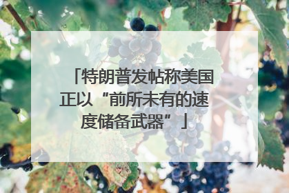 特朗普发帖称美国正以“前所未有的速度储备武器”