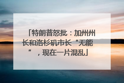 特朗普怒批：加州州长和洛杉矶市长“无能”，现在一片混乱