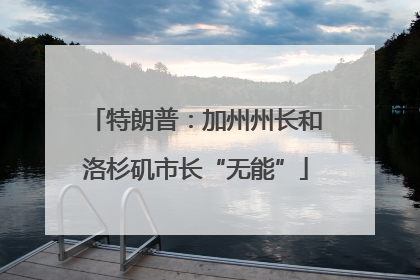 特朗普：加州州长和洛杉矶市长“无能”