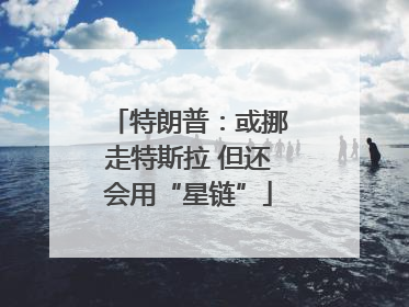 特朗普：或挪走特斯拉 但还会用“星链”
