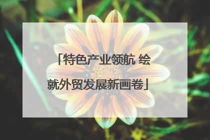 特色产业领航 绘就外贸发展新画卷