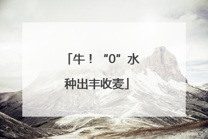 牛！“0”水种出丰收麦