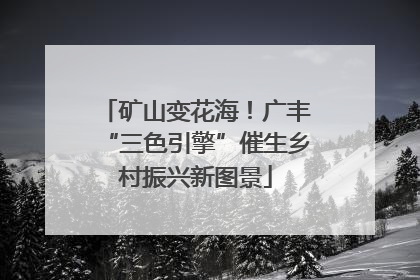 矿山变花海！广丰“三色引擎”催生乡村振兴新图景