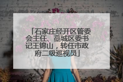 石家庄经开区管委会主任、藁城区委书记王锦山，转任市政府二级巡视员