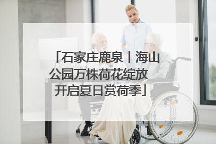 石家庄鹿泉丨海山公园万株荷花绽放 开启夏日赏荷季