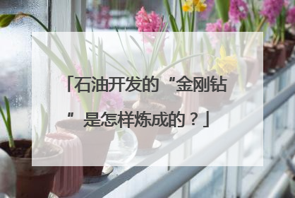 石油开发的“金刚钻”是怎样炼成的？