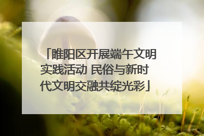 睢阳区开展端午文明实践活动 民俗与新时代文明交融共绽光彩