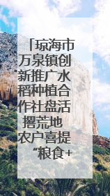 琼海市万泉镇创新推广水稻种植合作社盘活撂荒地 农户喜提“粮食+钞票”分红
