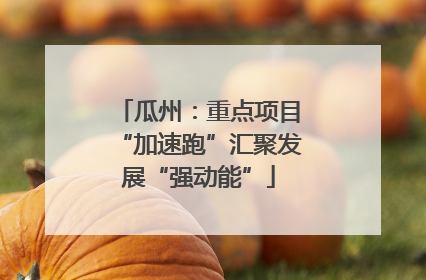 瓜州：重点项目“加速跑”汇聚发展“强动能”