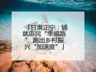 甘肃正宁：铺就惠民“幸福路” 跑出乡村振兴“加速度”