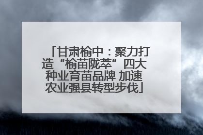 甘肃榆中：聚力打造“榆苗陇萃”四大种业育苗品牌 加速农业强县转型步伐