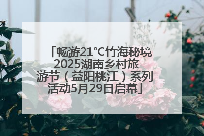 畅游21℃竹海秘境 2025湖南乡村旅游节（益阳桃江）系列活动5月29日启幕