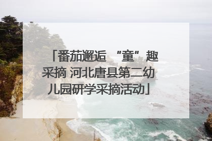 番茄邂逅 “童”趣采摘 河北唐县第二幼儿园研学采摘活动