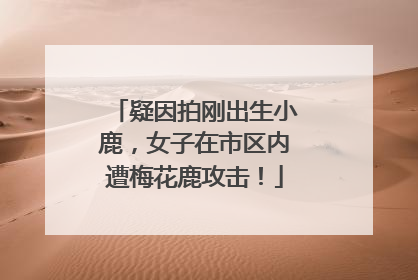 疑因拍刚出生小鹿，女子在市区内遭梅花鹿攻击！