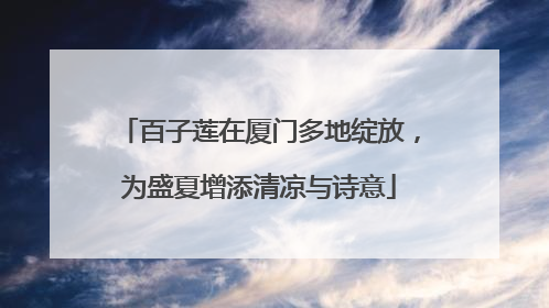 百子莲在厦门多地绽放，为盛夏增添清凉与诗意