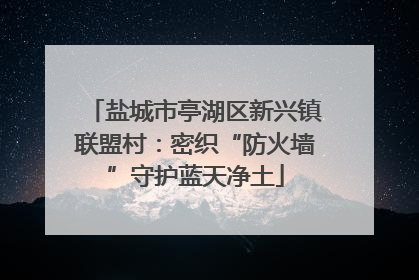 盐城市亭湖区新兴镇联盟村：密织“防火墙”守护蓝天净土