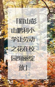 眉山彭山鹏利小学让劳动之花在校园绚丽绽放