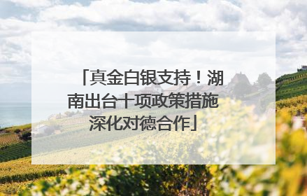 真金白银支持！湖南出台十项政策措施深化对德合作