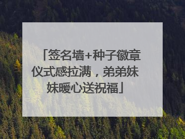 签名墙+种子徽章仪式感拉满，弟弟妹妹暖心送祝福