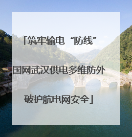 筑牢输电“防线” 国网武汉供电多维防外破护航电网安全