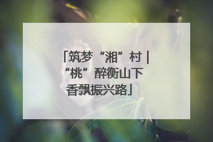 筑梦“湘”村｜“桃”醉衡山下 香飘振兴路