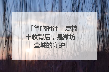 筝鸣时评丨夏粮丰收背后，是潍坊全城的守护