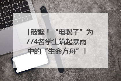 破壁！“电骡子”为774名学生筑起暴雨中的“生命方舟”