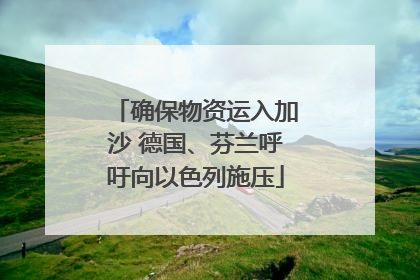 确保物资运入加沙 德国、芬兰呼吁向以色列施压