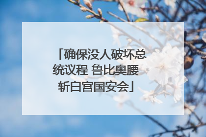 确保没人破坏总统议程 鲁比奥腰斩白宫国安会
