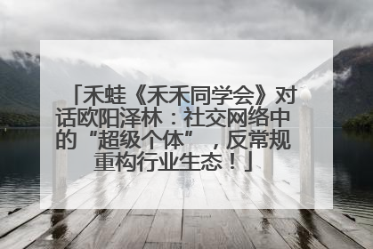 禾蛙《禾禾同学会》对话欧阳泽林：社交网络中的“超级个体”，反常规重构行业生态！