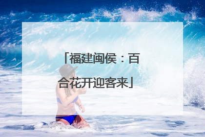 福建闽侯：百合花开迎客来