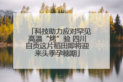 科技助力应对罕见高温“烤”验 四川自贡这片稻田即将迎来头季孕穗期