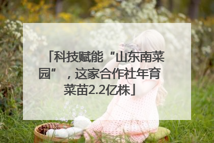 科技赋能“山东南菜园”，这家合作社年育菜苗2.2亿株
