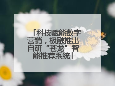 科技赋能数字营销，极融推出自研“苍龙”智能推荐系统