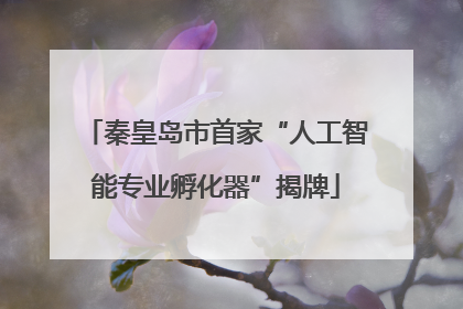 秦皇岛市首家“人工智能专业孵化器”揭牌