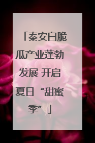秦安白脆瓜产业蓬勃发展 开启夏日“甜蜜季”