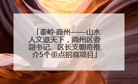 秦岭·商州——山水人文邀天下，商州区委副书记、区长支朝奇推介5个重点招商项目