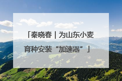 秦晓春｜为山东小麦育种安装“加速器”