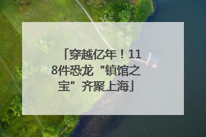 穿越亿年！118件恐龙“镇馆之宝”齐聚上海