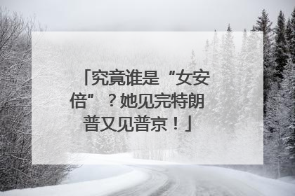 究竟谁是“女安倍”？她见完特朗普又见普京！