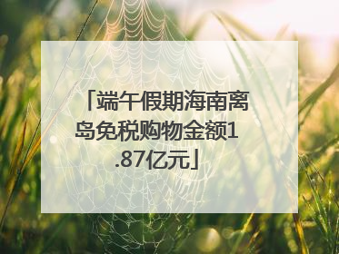 端午假期海南离岛免税购物金额1.87亿元