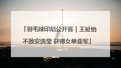 羽毛球印尼公开赛｜王祉怡不敌安洗莹 获得女单亚军