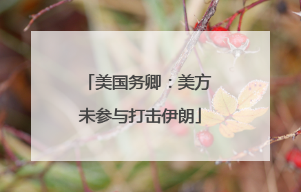 美国务卿：美方未参与打击伊朗