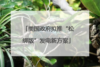 美国政府拟推“松绑版”发电新方案